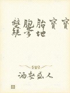 双胞胎宝宝的总统爹地