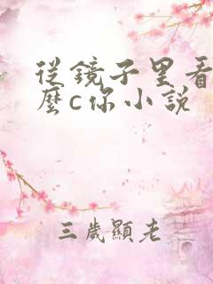 从镜子里看我怎么c你小说