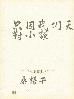 只因我们天生一对小说