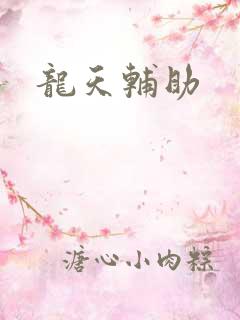 龙天辅助