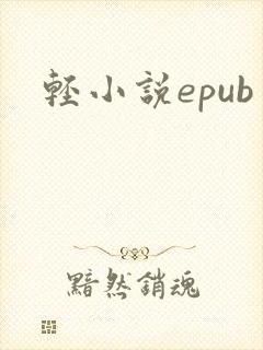 轻小说epub