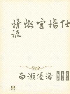 情燃官场仕途风流