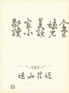 邻家美姨全文阅读小说免费