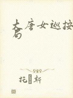 大唐女巡按大结局