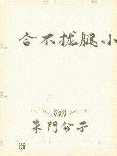 合不拢腿小说