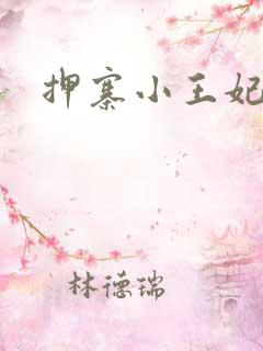 押寨小王妃