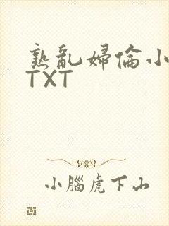 熟乱妇伦小说网TXT