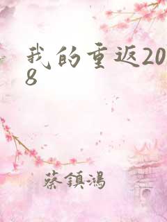我的重返2008
