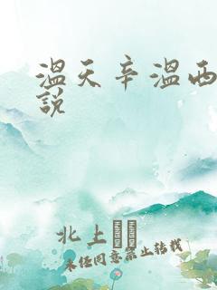 温天辛温西离小说