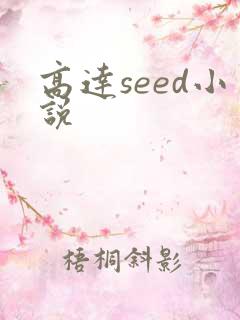 高达seed小说