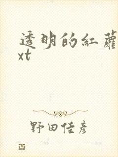 透明的红萝卜txt