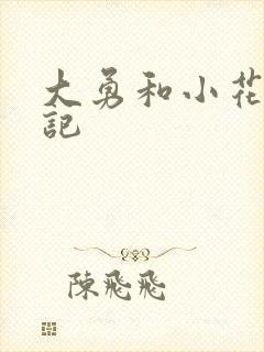 大勇和小花的日记