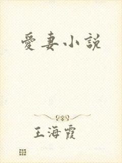 爱妻小说