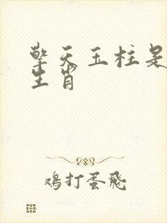 擎天玉柱是什么生肖