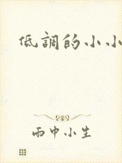 低调的小小宫女