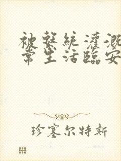 被系统灌溉的日常生活临安