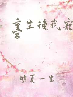 重生后我宠冠东宫