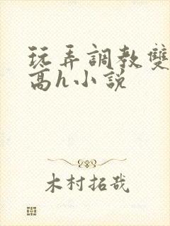 玩弄调教双胞胎高h小说