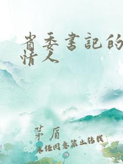 省委书记的秘密情人