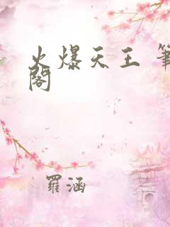 火爆天王 笔趣阁