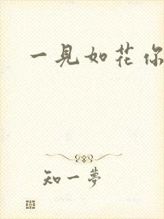 一见如花你就笑