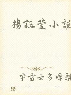 杨钰莹小说阅读