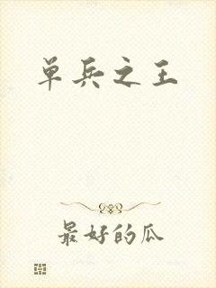 单兵之王