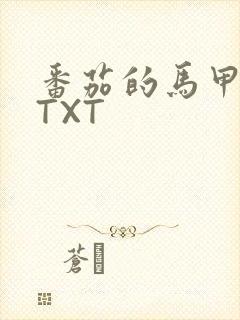 番茄的马甲小说TXT