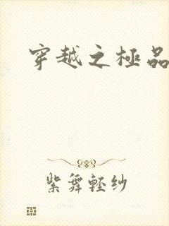 穿越之极品皇帝