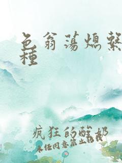 色翁荡熄系列借种