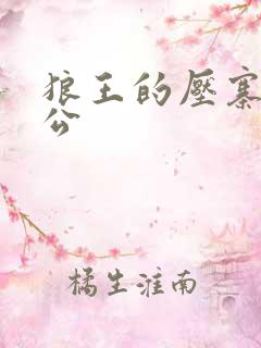 狼王的压寨小相公