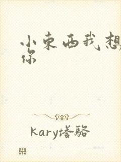 小东西我想弄坏你