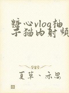 糖心vlog柚子猫内射频