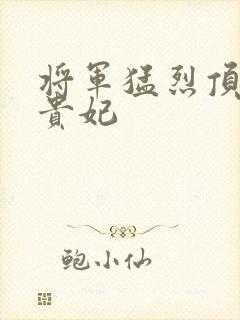 将军猛烈顶弄h贵妃