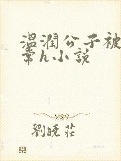 温润公子被脔日常h小说