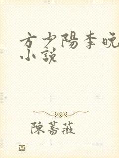 方少阳李晚晴的小说