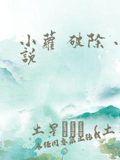 小萝 破除 小说