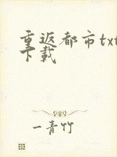 重返都市txt下载