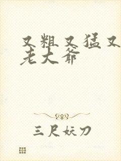 又粗又猛又大爽老大爷