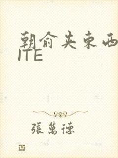 朝俞夹东西WRITE