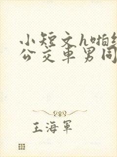 小短文h啪纯肉公交车男同