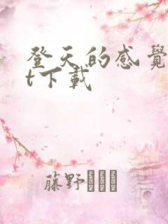 登天的感觉txt下载