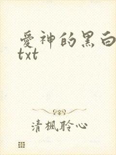 爱神的黑白羽翼txt