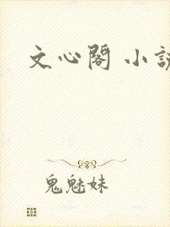 文心阁 小说