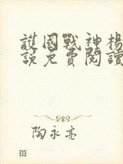 护国战神杨风小说免费阅读