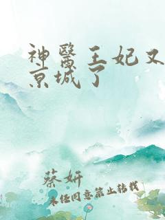 神医王妃又轰动京城了