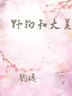 野狗和大美人