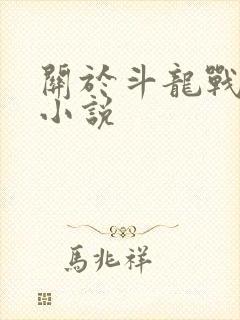 关于斗龙战士的小说