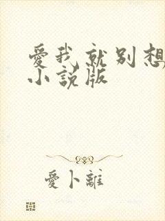 爱我就别想太多小说版