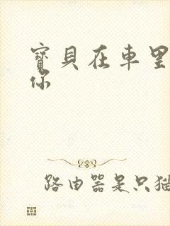 宝贝在车里想要你